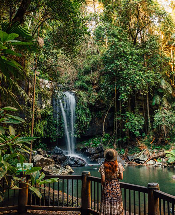 Tamborine Mountain Waterfall
